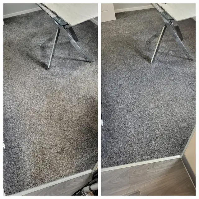 Let's Get Your Rug And Carpet Cleaning Done Today - Photo 3