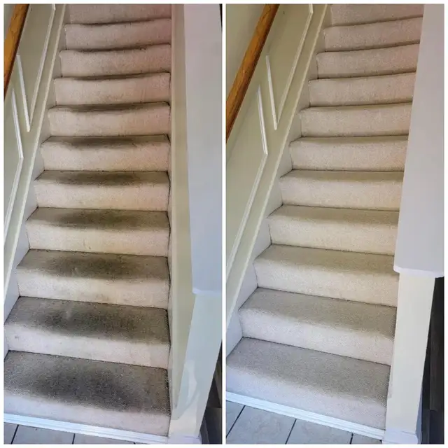 Let's Get Your Rug And Carpet Cleaning Done Today - Photo 4
