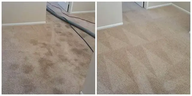 Let's Get Your Rug And Carpet Cleaning Done Today - Photo 5