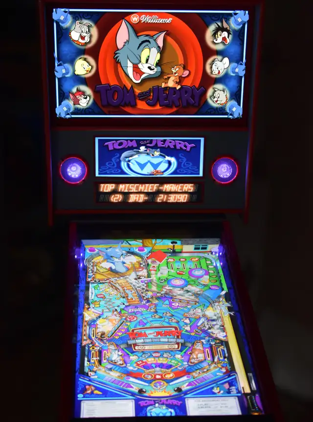 Virtual Pinball Real Size / Machine a boules virtuel - Photo 8