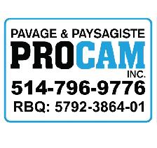 Chef D'équipe - Équipe Pavé Uni