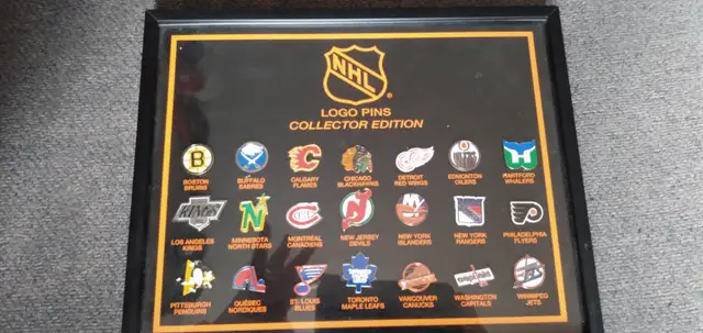 NHL LOGO pins COLLECTOR'S EDITION (original 21 )$200 OBO