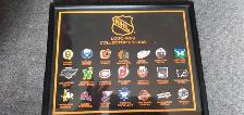 NHL LOGO pins COLLECTOR'S EDITION (original 21 )$200 OBO