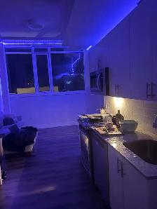 Room for Rent at Y Lofts - Photo 3