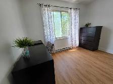 ROOM RENTALS/FURNISHED BEDROOMS FOR RENT/CHAMBRE MEUBLÉE A LOUER - Photo 4