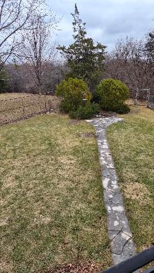 Room For Rent Near Humber Coiiage - Photo 8