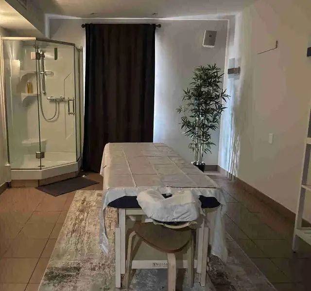 Professional Massage Therapy – Relaxation & Therapeutic Care