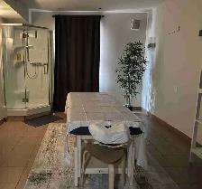 Professional Massage Therapy – Relaxation & Therapeutic Care