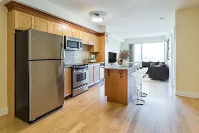 1 Bed   Den 1 Bath June, biking distance to uOttawa & the Market - Photo 3