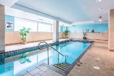 1 Bed   Den 1 Bath June, biking distance to uOttawa & the Market - Photo 4