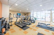 1 Bed   Den 1 Bath June, biking distance to uOttawa & the Market - Photo 6