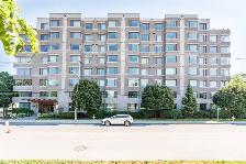 1 Bed   Den 1 Bath June, biking distance to uOttawa & the Market - Photo 10