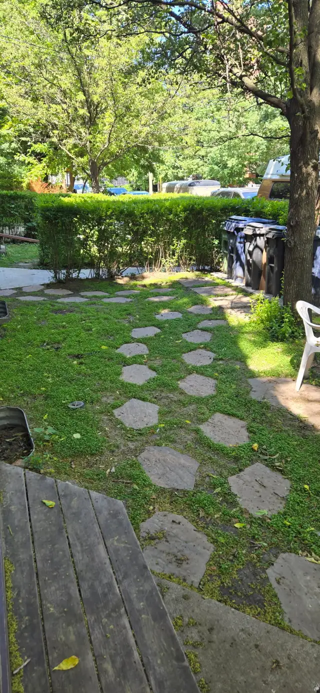 Labourers available. - Photo 7