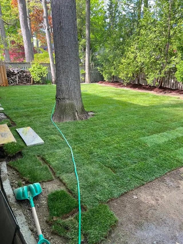 Labourers available. - Photo 9