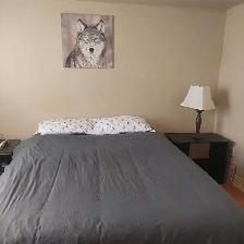 bedroom for rent - Photo 6