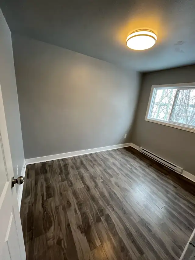 2 bedroom, 2 level Apartment.  Newly renovated - Photo 7