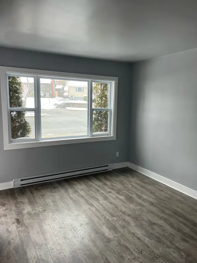 2 bedroom, 2 level Apartment.  Newly renovated - Photo 10