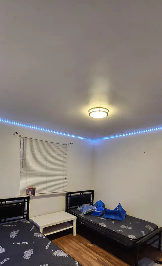 Room for Rent In Scarborough - Photo 2