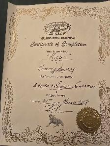 ICCF male Cane Corso - Photo 6