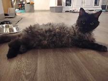 food  help please - Photo 2