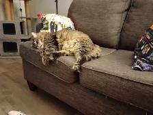 food  help please - Photo 3