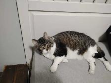 food  help please - Photo 4