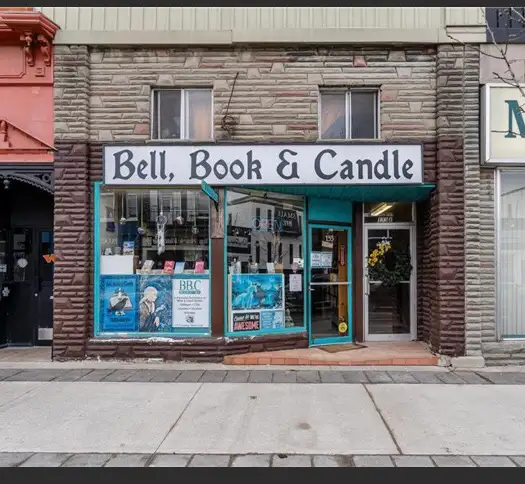 133 Dunlop St EBarrie ON L4M 1A6Canada - Photo 3