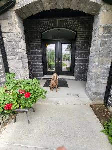 One large room for rent