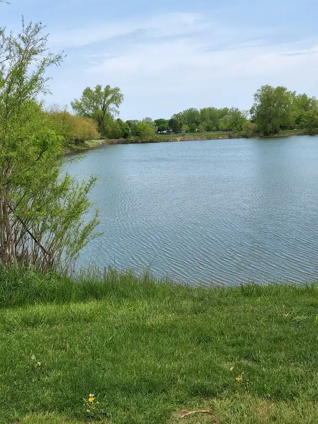 One large room for rent - Photo 9