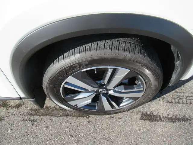 2023 Nissan Rogue Platinum AWD | NAVI | HUD | Pano Sunroof | Lea - Photo 5