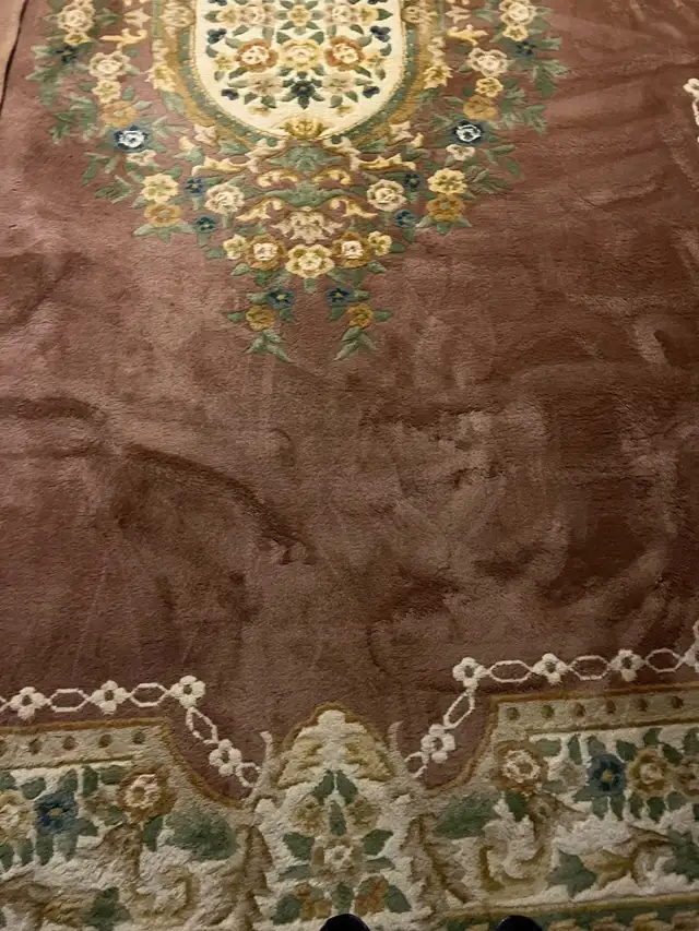 Shampoo Steam Carpet Area Rugs Runners $40