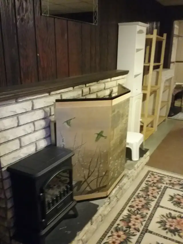 Basement Suite Kamloops One Person $850 - Photo 5