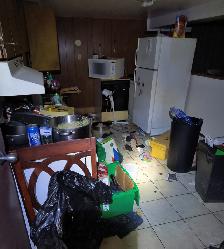 general carpenter helper