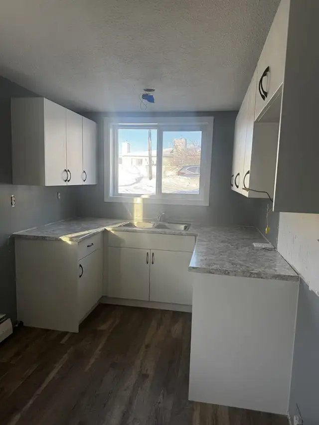 3 bedroom basement of 4plex available April 1 - Photo 2