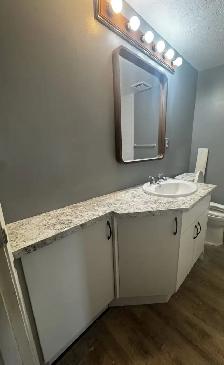 3 bedroom basement of 4plex available April 1 - Photo 4