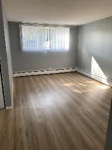 3 bedroom basement of 4plex available April 1 - Photo 5