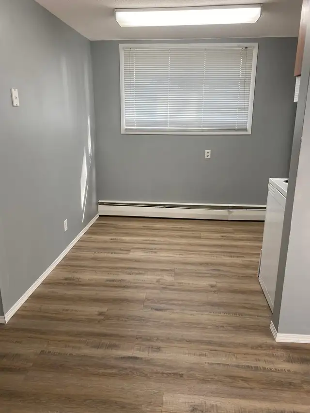 3 bedroom basement of 4plex available April 1 - Photo 6