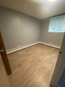 3 bedroom basement of 4plex available April 1 - Photo 8