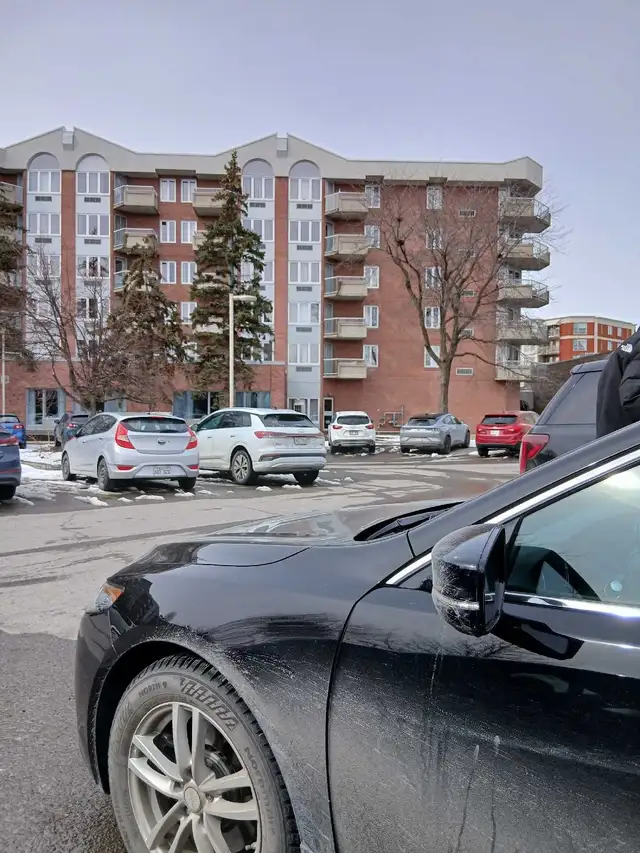 Need cleaning person