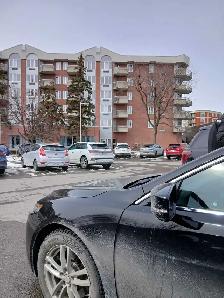 Need cleaning person