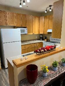 Private Owner Executive Furnished Condo for Rent  1950.00 - Photo 5