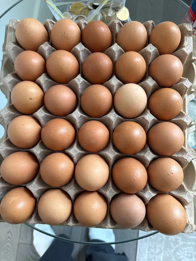 farm fresh eggs