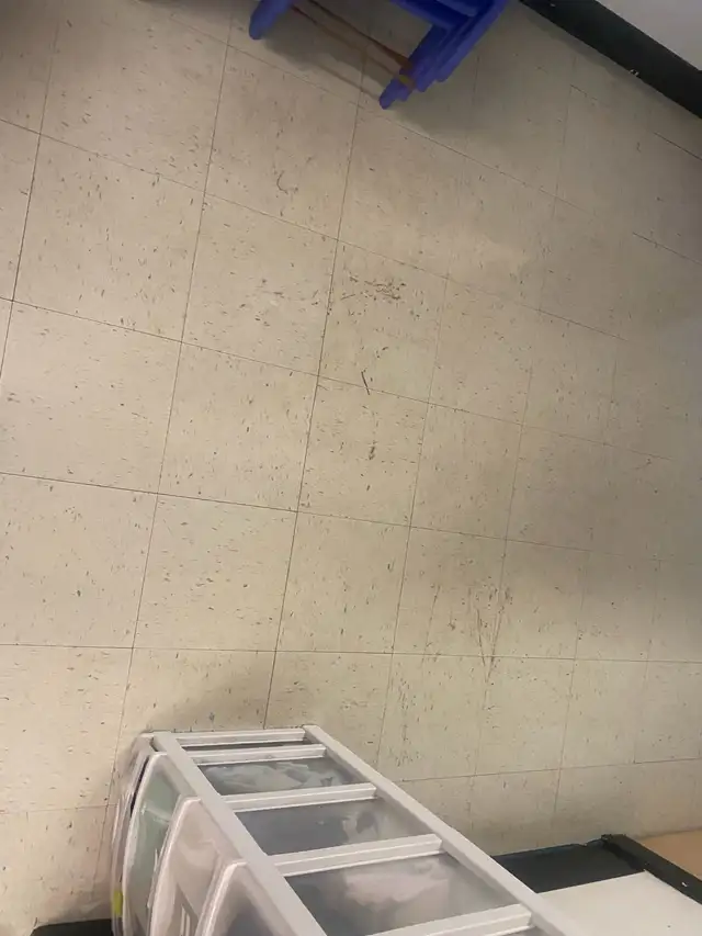 Aide recherchée – Nettoyage / Ménage (matin)