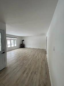 Beautifully Renovated 3-Bedroom Home Bracebridge – Available Now - Photo 3