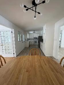 Beautifully Renovated 3-Bedroom Home Bracebridge – Available Now - Photo 4