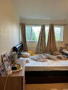 Burnaby Basement 2 Bedroom Suite – Near BCIT & Brentwood - Photo 6