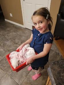 Purebred Registered Persian Kittens - Photo 10