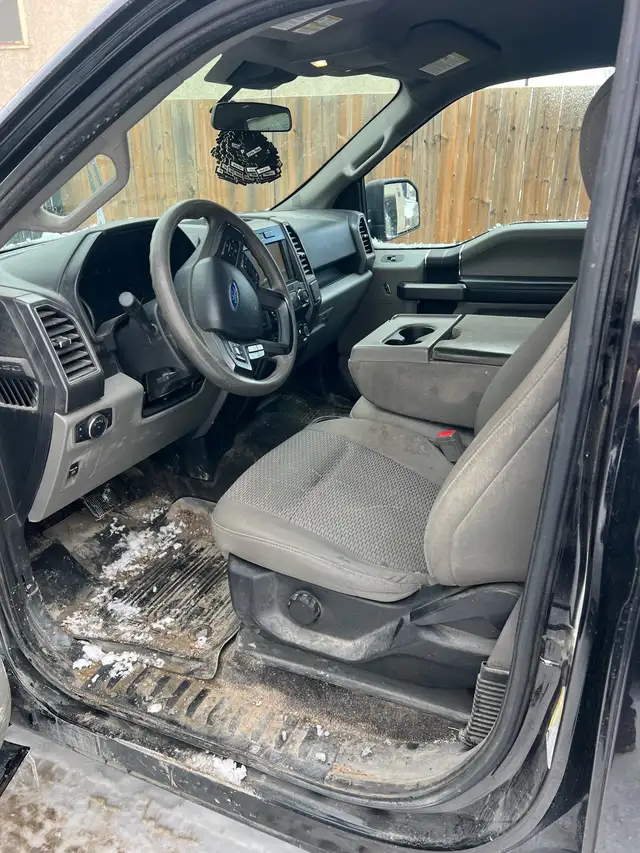 Professional auto detailing