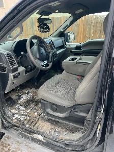 Professional auto detailing