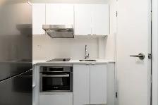 renovated studio, Church and Wellesley - ID 1154 - Photo 3